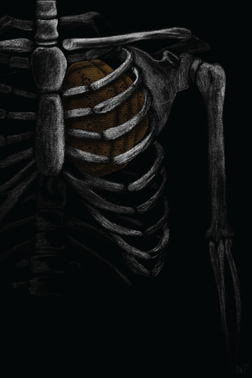 Skeletal Apiary by Claire Davis of InkBird Print Studio vinyl sticker features a human ribcage holding an orange basketball heart, on deep black, size visible as 4-inch decal.