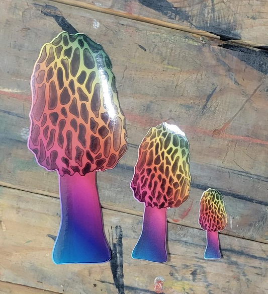 Morel Mushroom Weatherproof Sticker | Made in Michigan