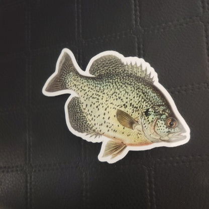 Speckled fish die cut vinyl sticker by InkBird Print Studio; waterproof adhesive, multicolor design, custom contour shape, 3-inch size.