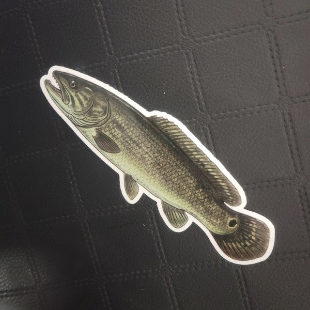 Premium vinyl die cut fish sticker by InkBird Print Studio; greenish scales, dark fin; realistic detail; displayed on black grid. Printed for Good Days Marina