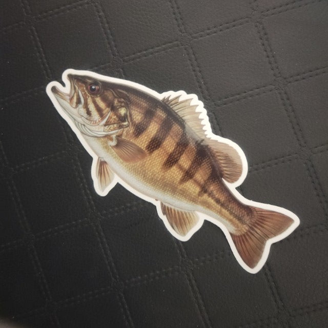 Premium die cut vinyl fish sticker by InkBird Print Studio, brown stripes and fins, on a black stitched square-pattern background. Printed for Good Days Marina