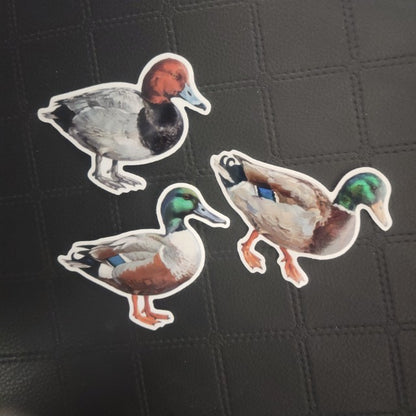 Set of 3 die cut vinyl duck stickers by InkBird Print Studio—2 green-headed, 1 reddish-brown—on black textured background. Printed for Good Days Marina