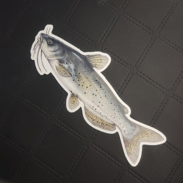 InkBird Print Studio die-cut vinyl sticker of a gray and white whiskered catfish, adhesive back, on a black grid-patterned backdrop. Printed for Good Days Marina