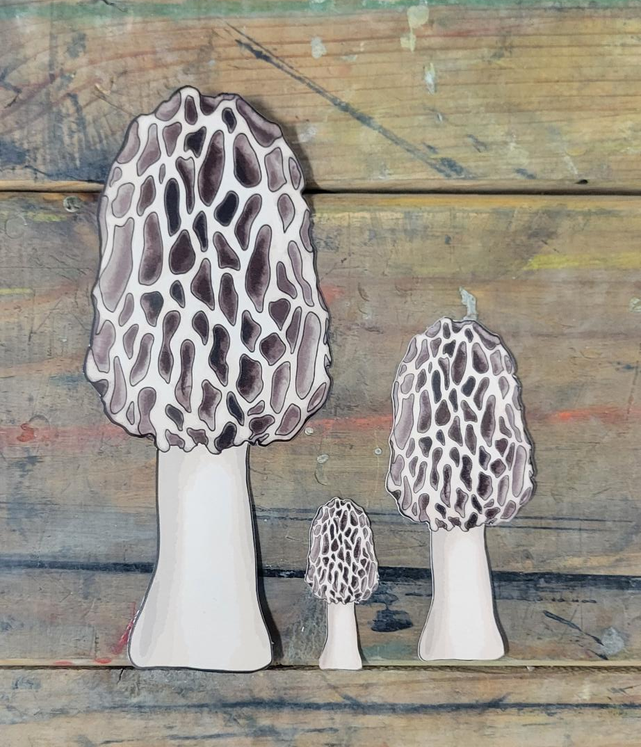 Morel Mushroom Weatherproof Sticker | Made in Michigan