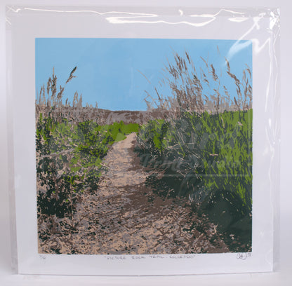 The original Daylight version of "Picture Rock Trail, Colorado", a 6 color handpulled screenprint by InkBird Print Studio. Shown here in a cellophane sleeve.